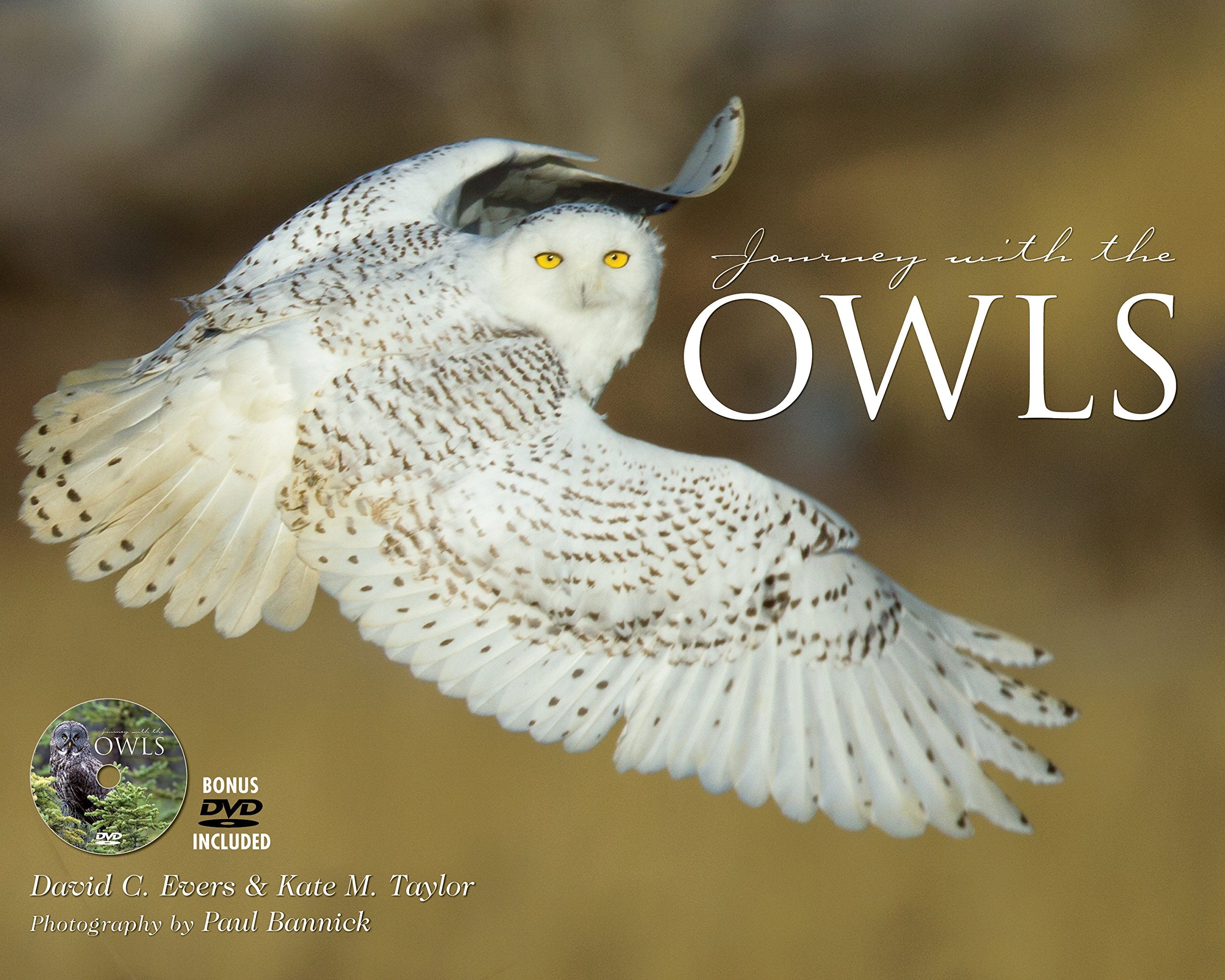 Journey with the Owls by David Evers, Ph.D. and Kate Taylor